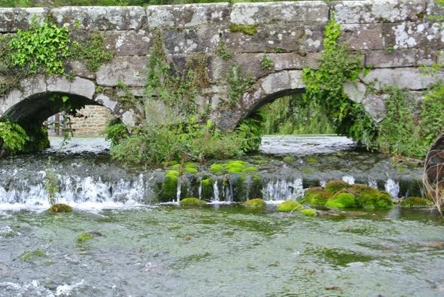 Posada Rural La Flor Del Nogal Ruente Eksteriør billede